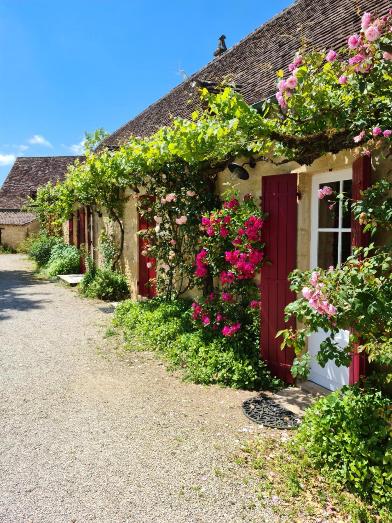 La Ferme De L'Embellie Gites Et Chambres D'Hotes Le Buisson-de-Cadouin Exteriör bild